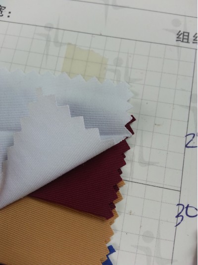 GZ-HAYILG 320T 後面照